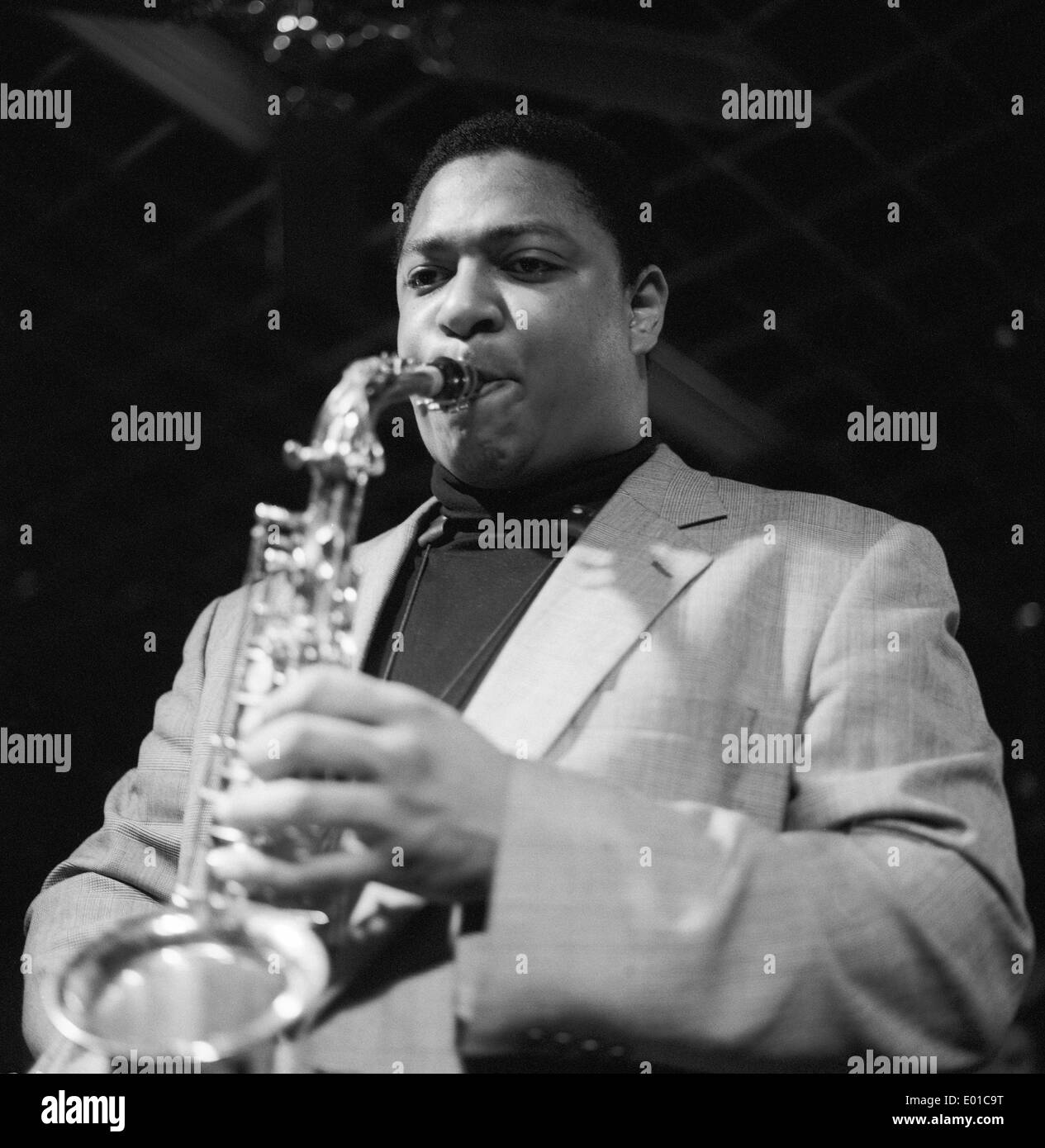 Vincent Herring Stock Photo Alamy