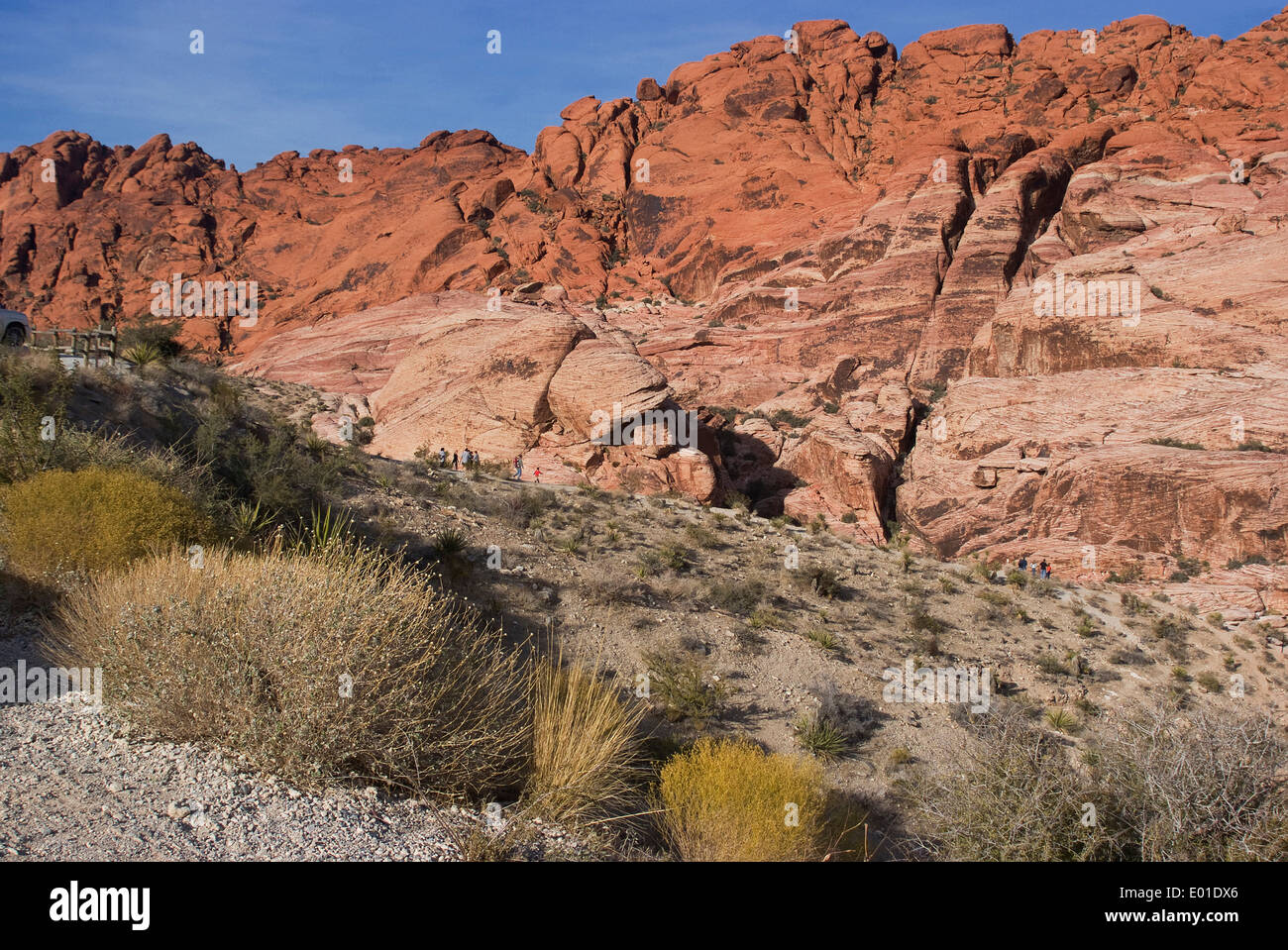 Red Rock National Conservation Area, Las Vegas, Nevada, United States Stock Photo Alamy