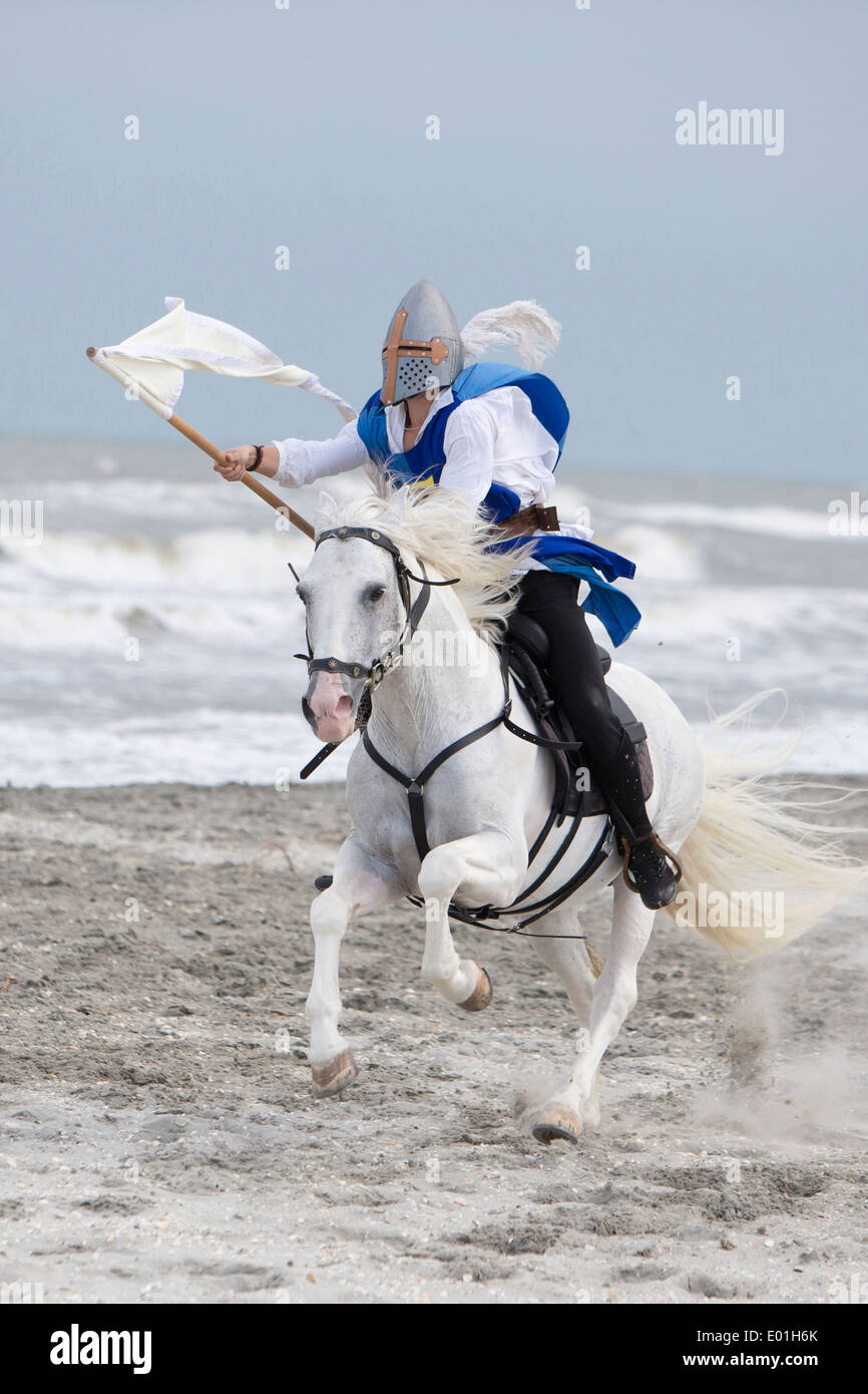 Pure Spanish Horse, Andalusian. Stunt-man dressed as knight galloping on a beach. Romania Stock Photo