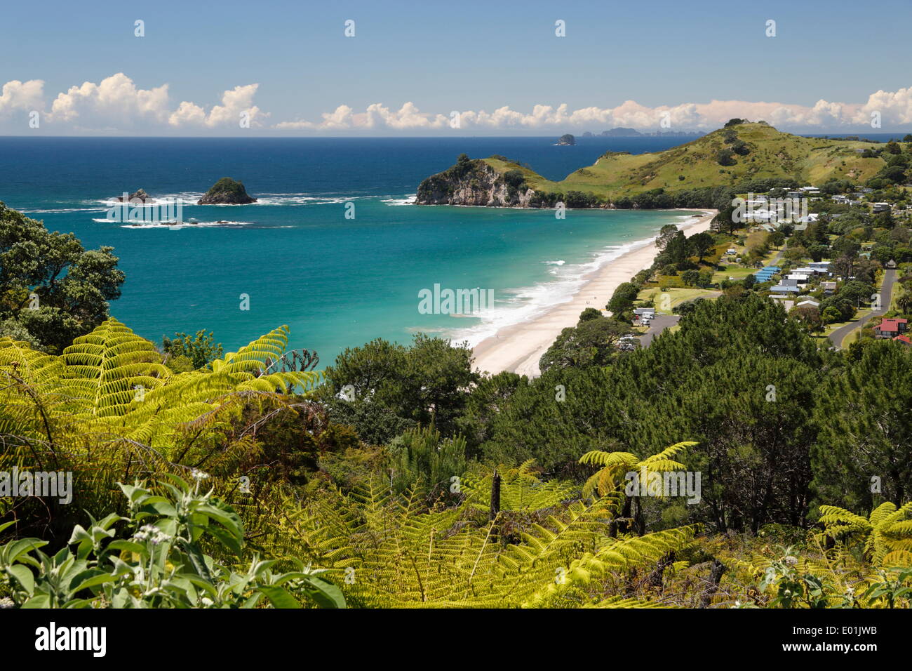 Hahei beach, Hahei, Coromandel Peninsula, Waikato, North Island, New Zealand, Pacific Stock Photo
