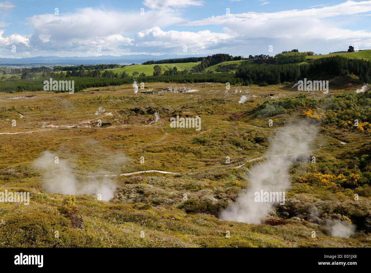 Craters of the Moon Thermal Area, Taupo, North Island, New Zealand, Pacific Stock Photo