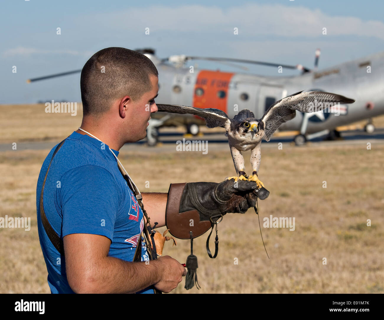 US Air Force Airman 1st Class David Mumme holds Columbia, a female Lanner falcon used to prevent bird strikes on aircraft September 23, 2011 in Travis Air Force Base, California. Stock Photo