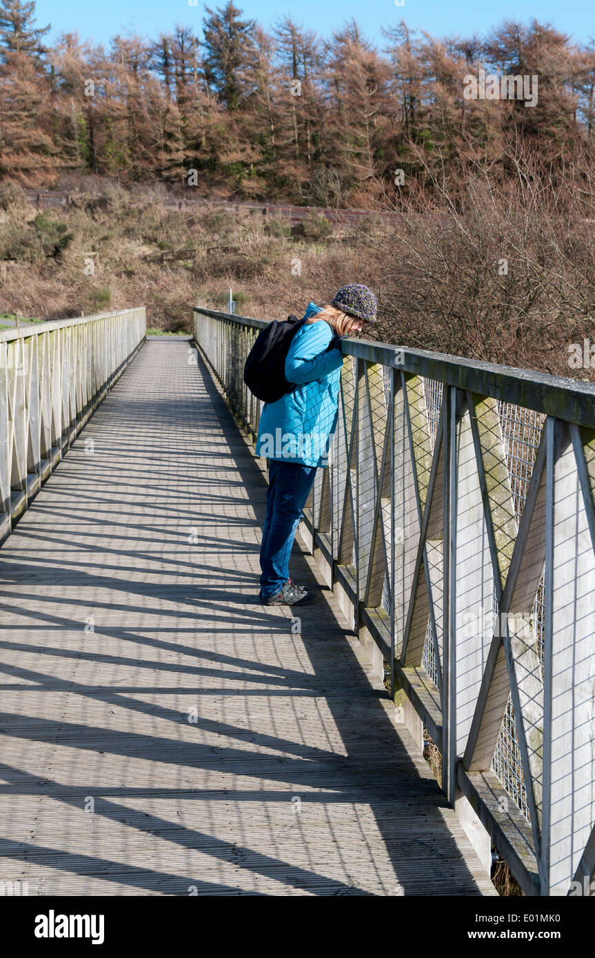 Lon Las Cefni Reservoir Anglesey North Wales Stock Photo Alamy