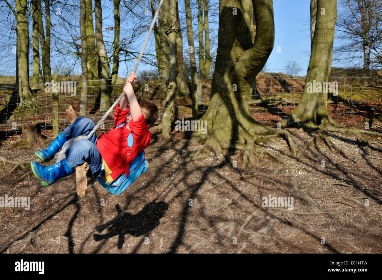 young boy swinging on a rope swing in the trees Stock Photo