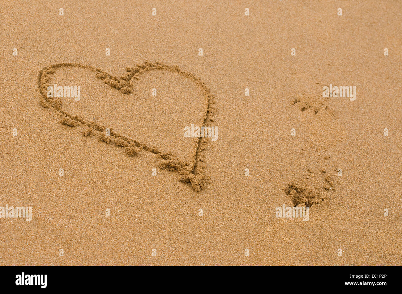 love heart drawn in the sand next to two dog footprints Stock Photo