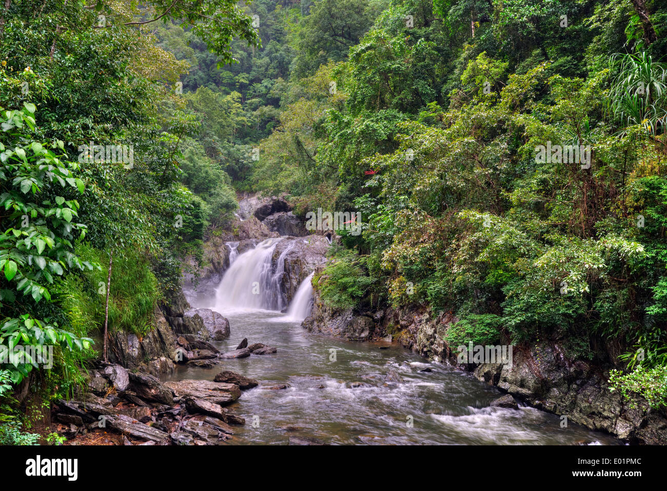 Crystal Cascades rainforest, Cairns, Queensland, Australia Stock Photo Alamy