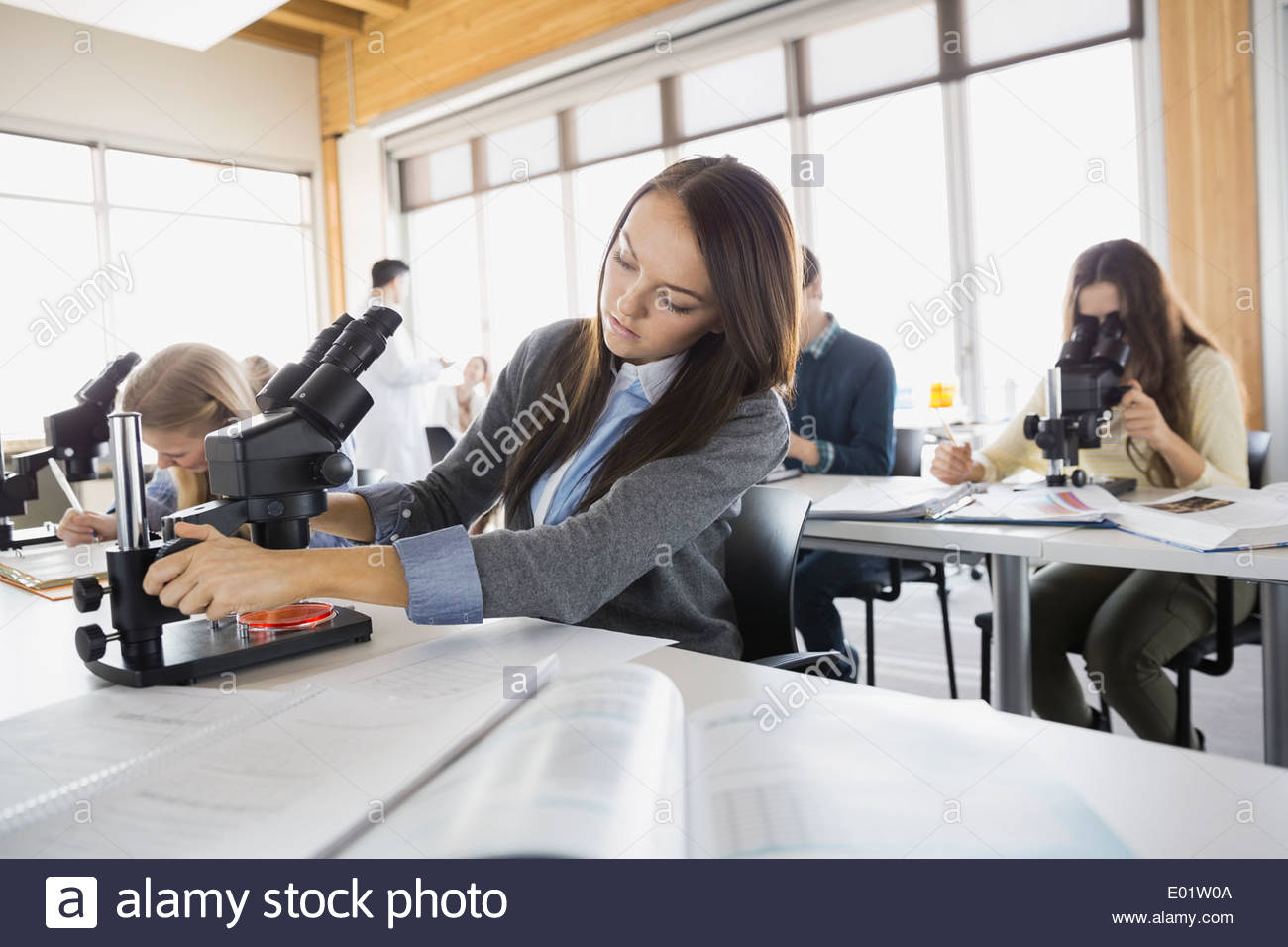 High school students with microscopes taking test Stock Photo Alamy