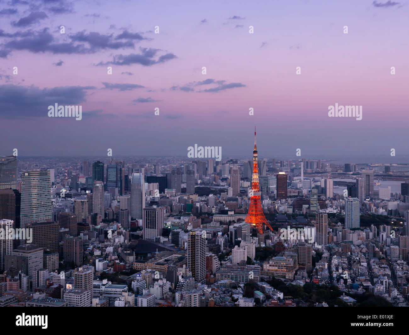Illuminated bright red Tokyo Tower in city landscape dramatic aerial twilight scenery. Tokyo, Japan. Stock Photo