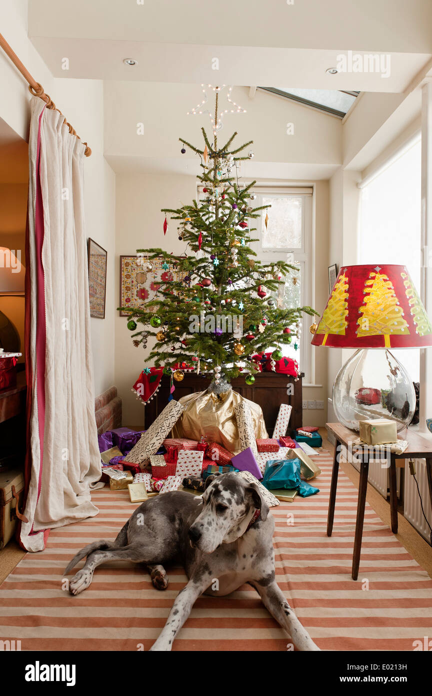 Christmas tree with wrapped presents underneath and a dog Stock Photo