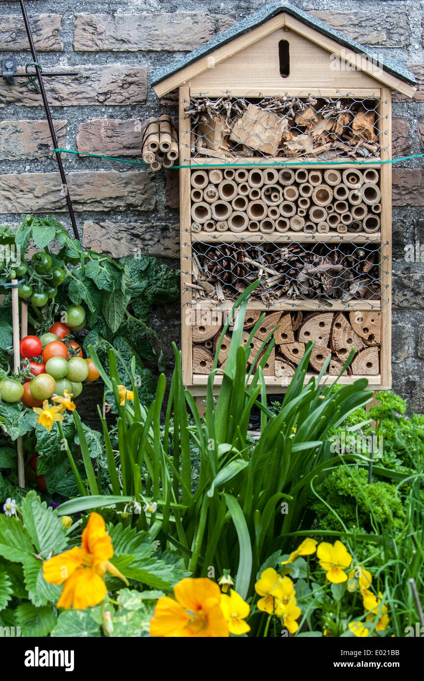 Insect hotel for solitary bees and other insects near flower and vegetable garden Stock Photo