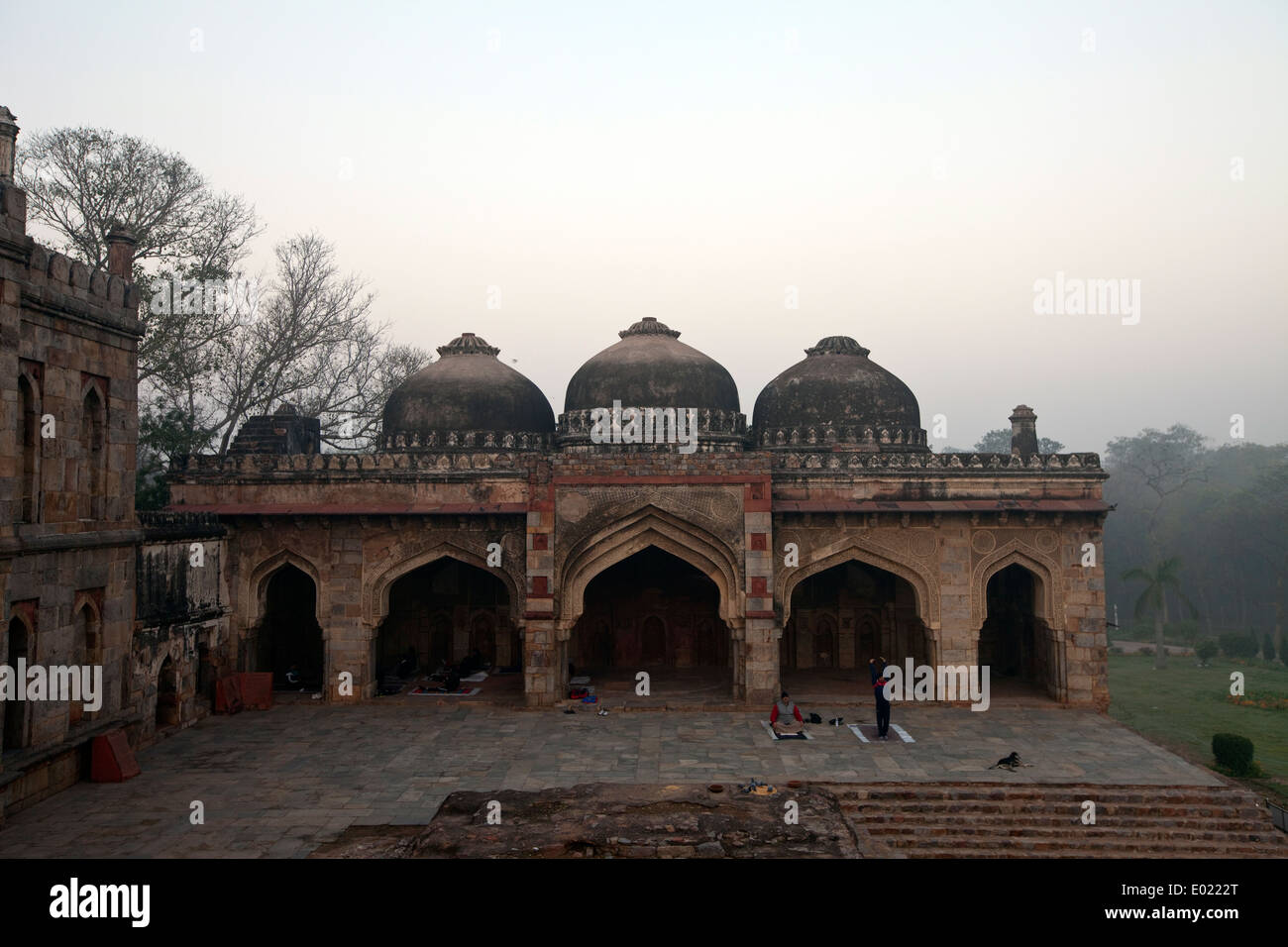 People practising yoga in the early morning at the Mehman Khana, Lodhi Gardens, New Delhi, India, Stock Photo