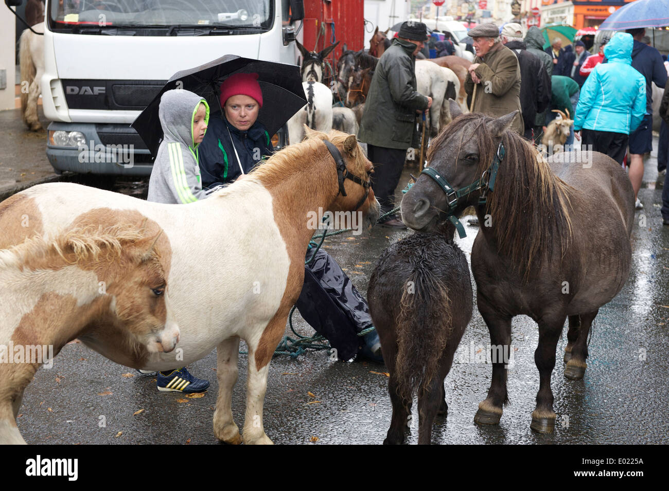 KENMARE HORSE MARKET , KERRY, CO CORK, IRELAND Stock Photo