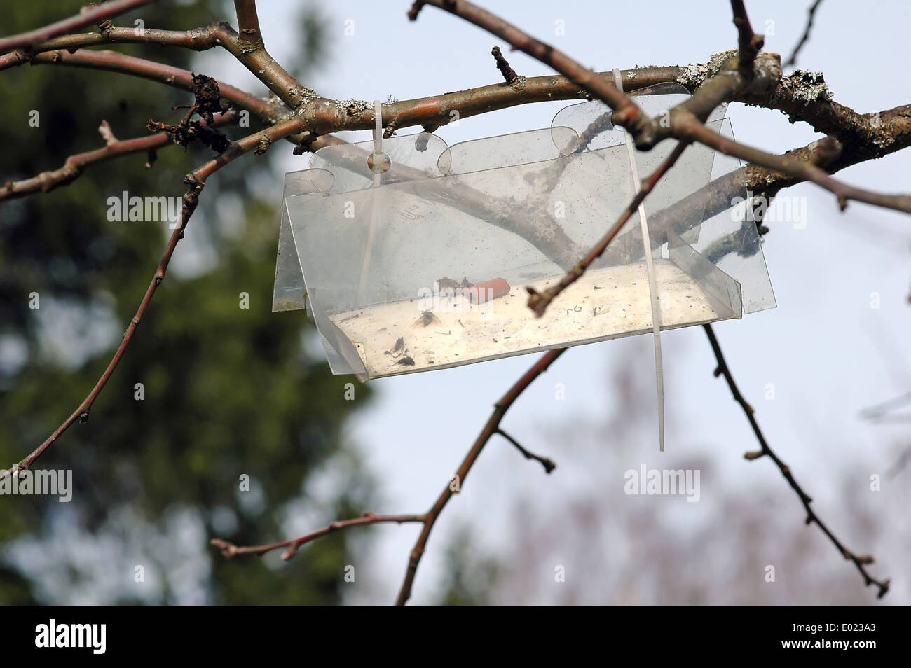 Insect trap farm hires stock photography and images Alamy
