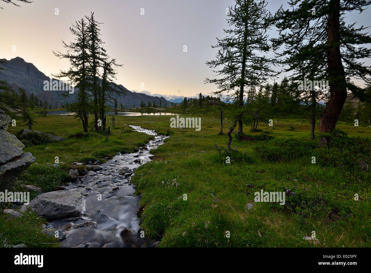 Alpine stream flowing towards hi-res stock photography and images - Alamy