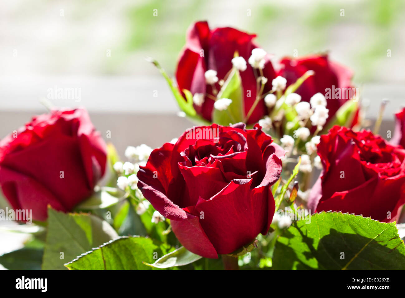 Bouquet of Red roses Stock Photo - Alamy