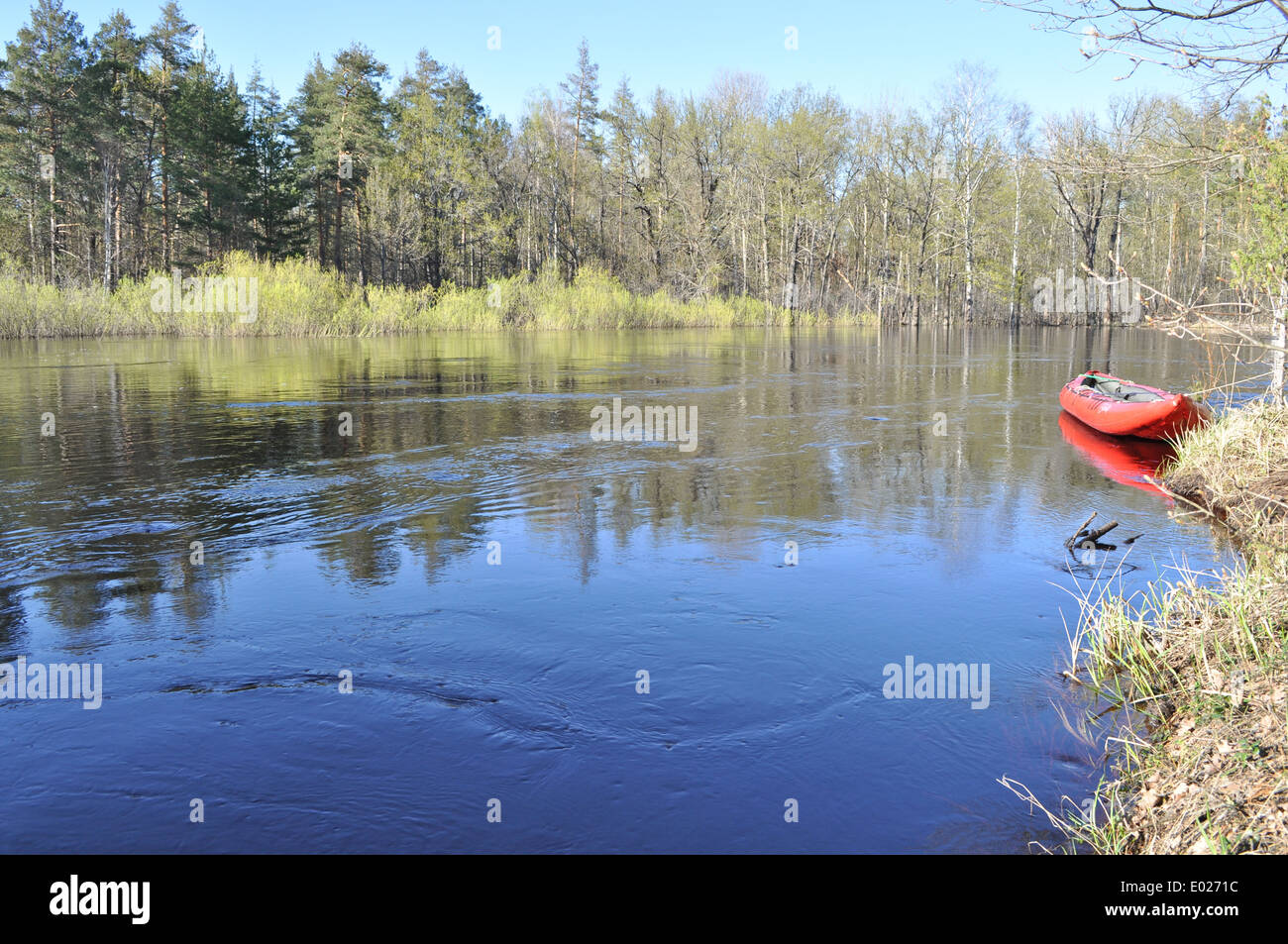 Landscapes and detail of the nature in the forest on the river Bank in ...