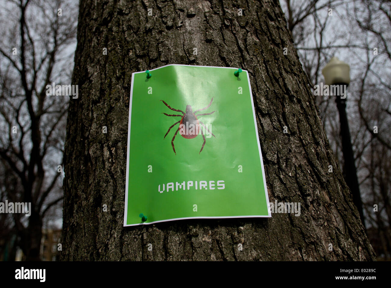 A Lyme Disease awareness poster in the Plateau of Montreal, Que. Stock Photo