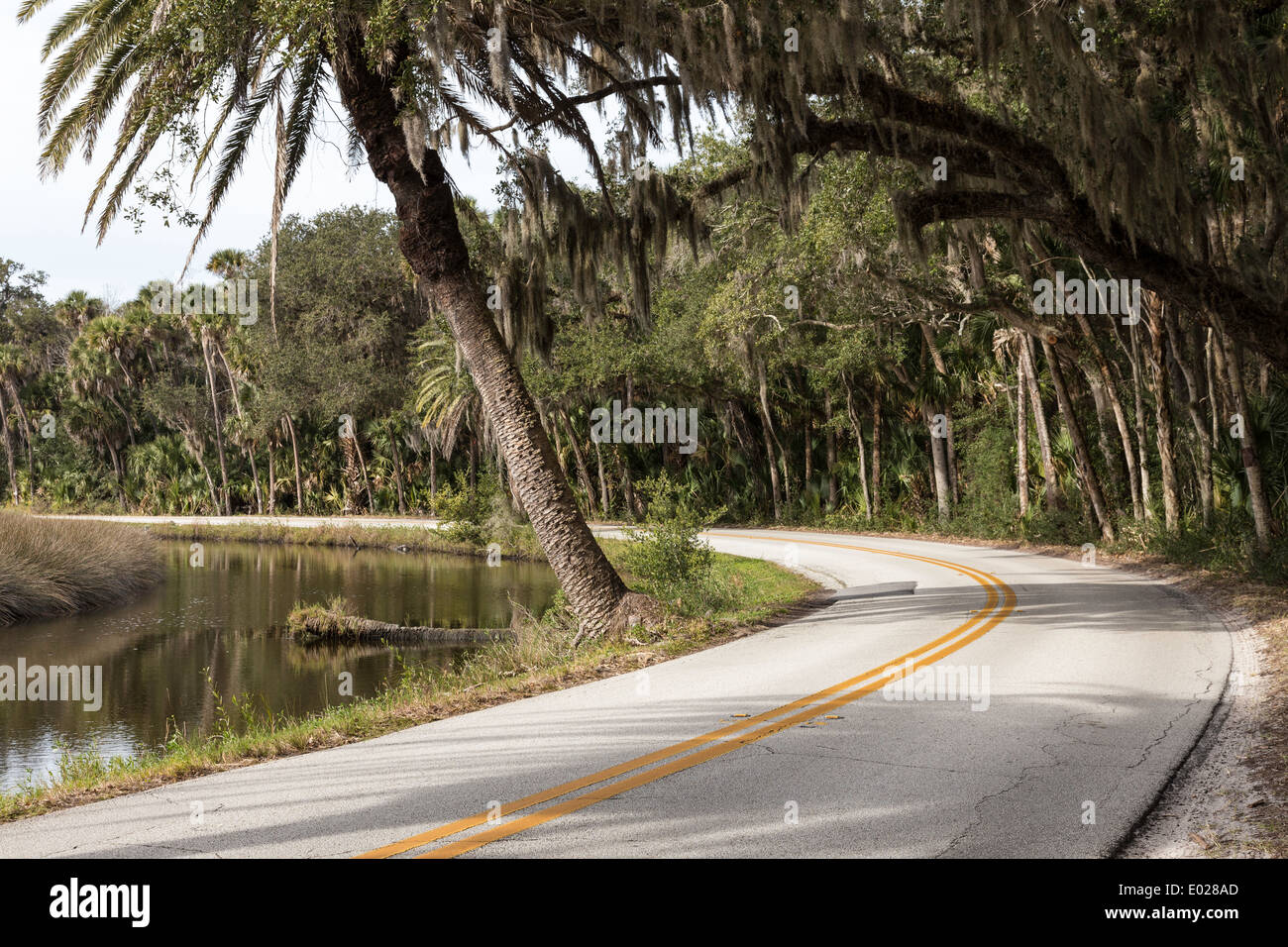 Curved Country Road in Northern Florida Stock Photo