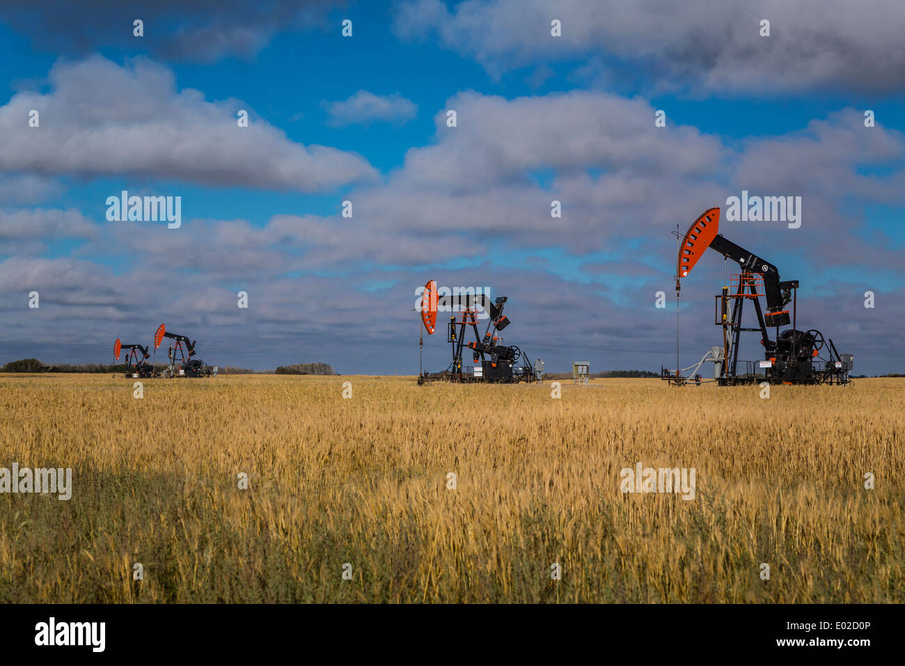An oil production pump jack in the Bakken play oil field deposits near Stoughton, Saskatchewan, Canada. Stock Photo