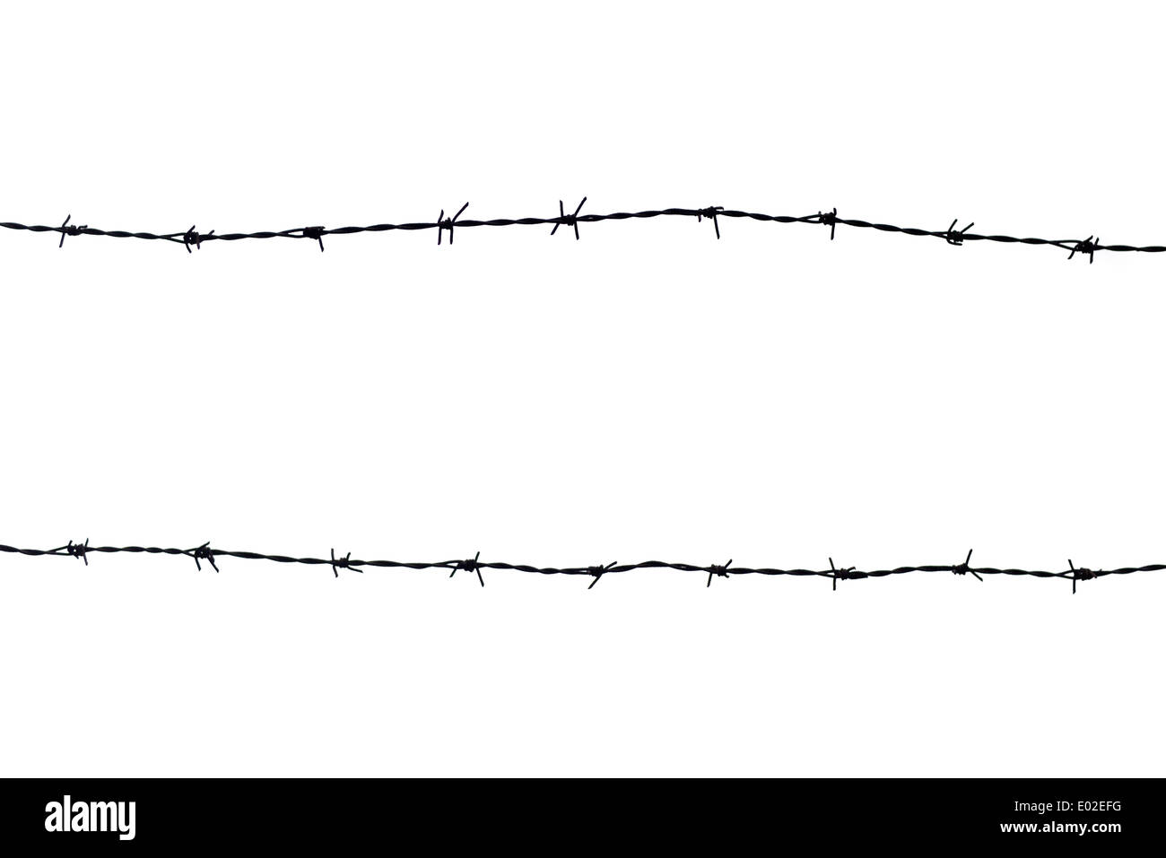 Silhouetted barbed wire on white background Stock Photo