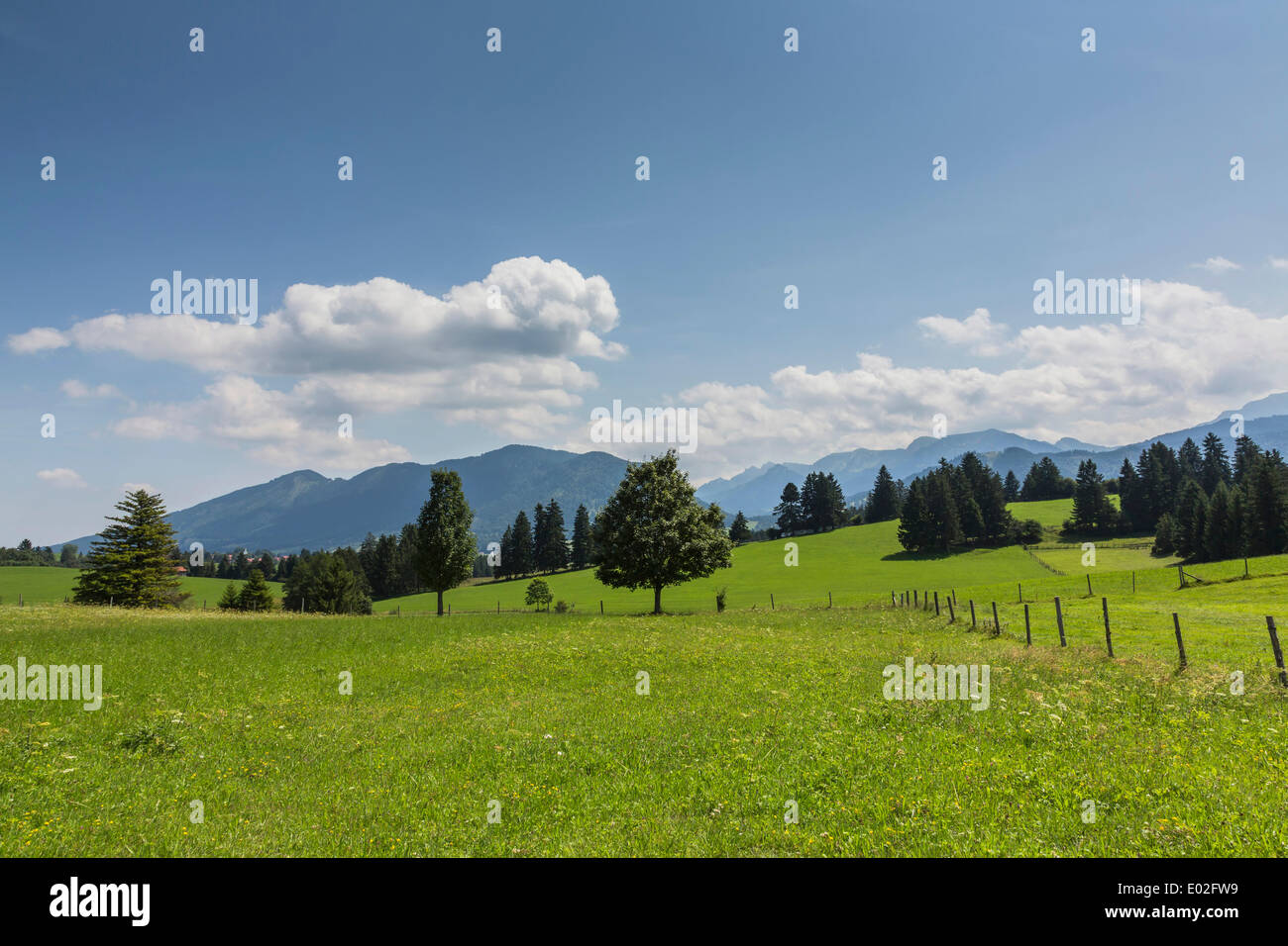 Cultivated landscape, Oberammergau Alps at the back, near Buching, Halblech, Allgäu, Ostallgäu, Bavaria, Germany Stock Photo