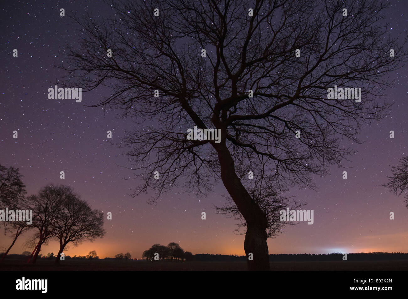 starry sky, vechta district, niedersachsen, germany Stock Photo
