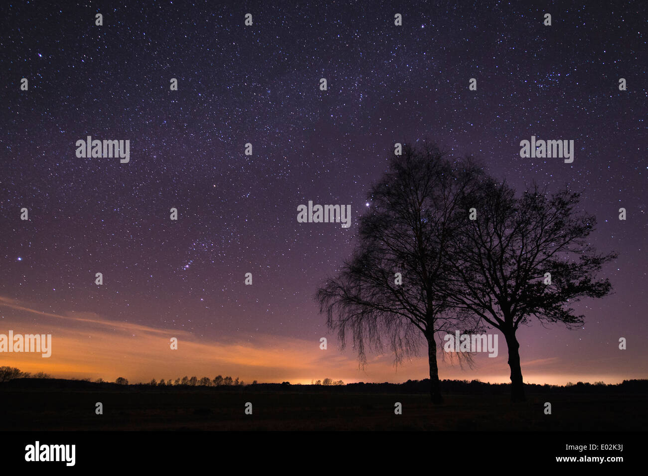 starry sky, vechta district, niedersachsen, germany Stock Photo