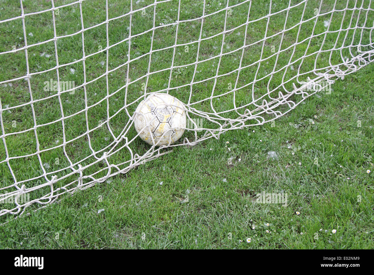 Soccer Ball in Goal net with green grass Stock Photo Alamy