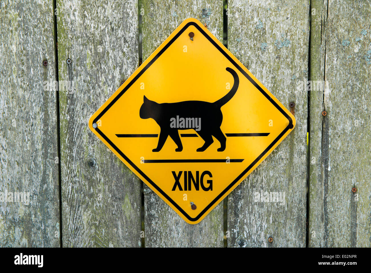 Warning road sign cat crossing hires stock photography and images Alamy