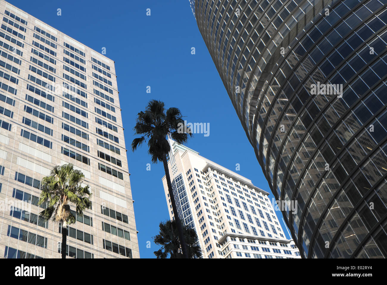 Governor macquarie tower ( left) and no 1 bligh street in Sydney City centre, NSW Australia, high rise skyscrapers Stock Photo