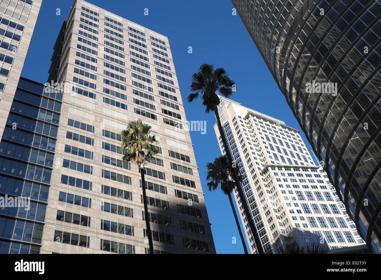 Governor macquarie tower ( left) and no 1 bligh street in Sydney City centre, australia Stock Photo