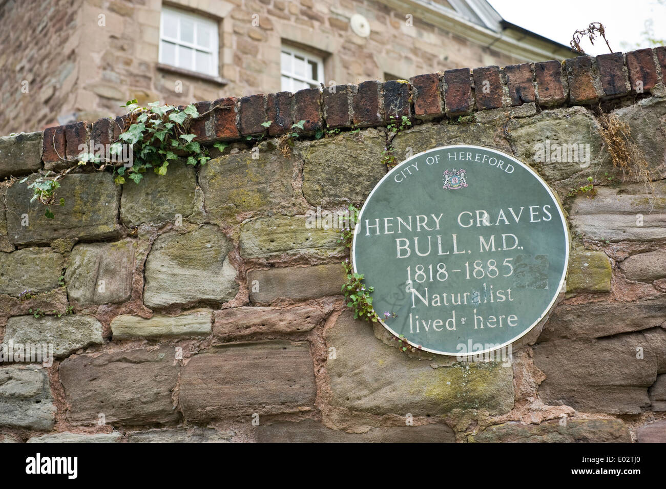 Home of naturalist Dr Henry Graves Bull ( 1818 - 1885 ) in city centre of Hereford Herefordshire England UK Stock Photo