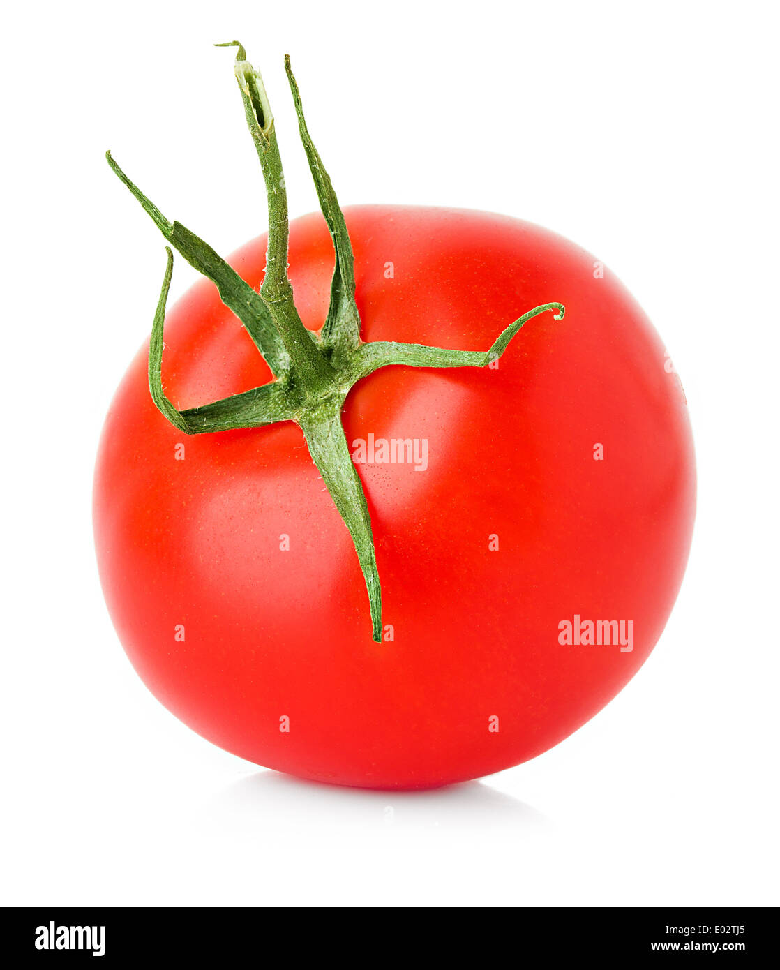 tomato close up on white background Stock Photo - Alamy