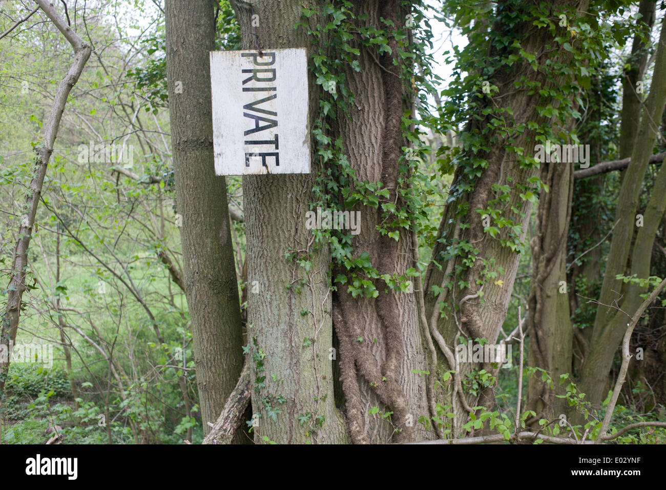 Private sign hanging at 90 degrees on trees in Kent woodland. Stock Photo