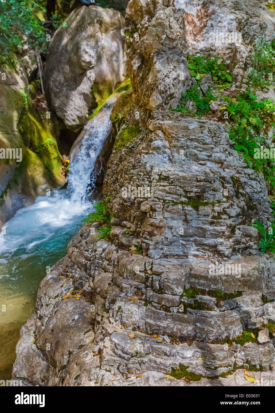 Stream and mossy rocks hi-res stock photography and images - Alamy