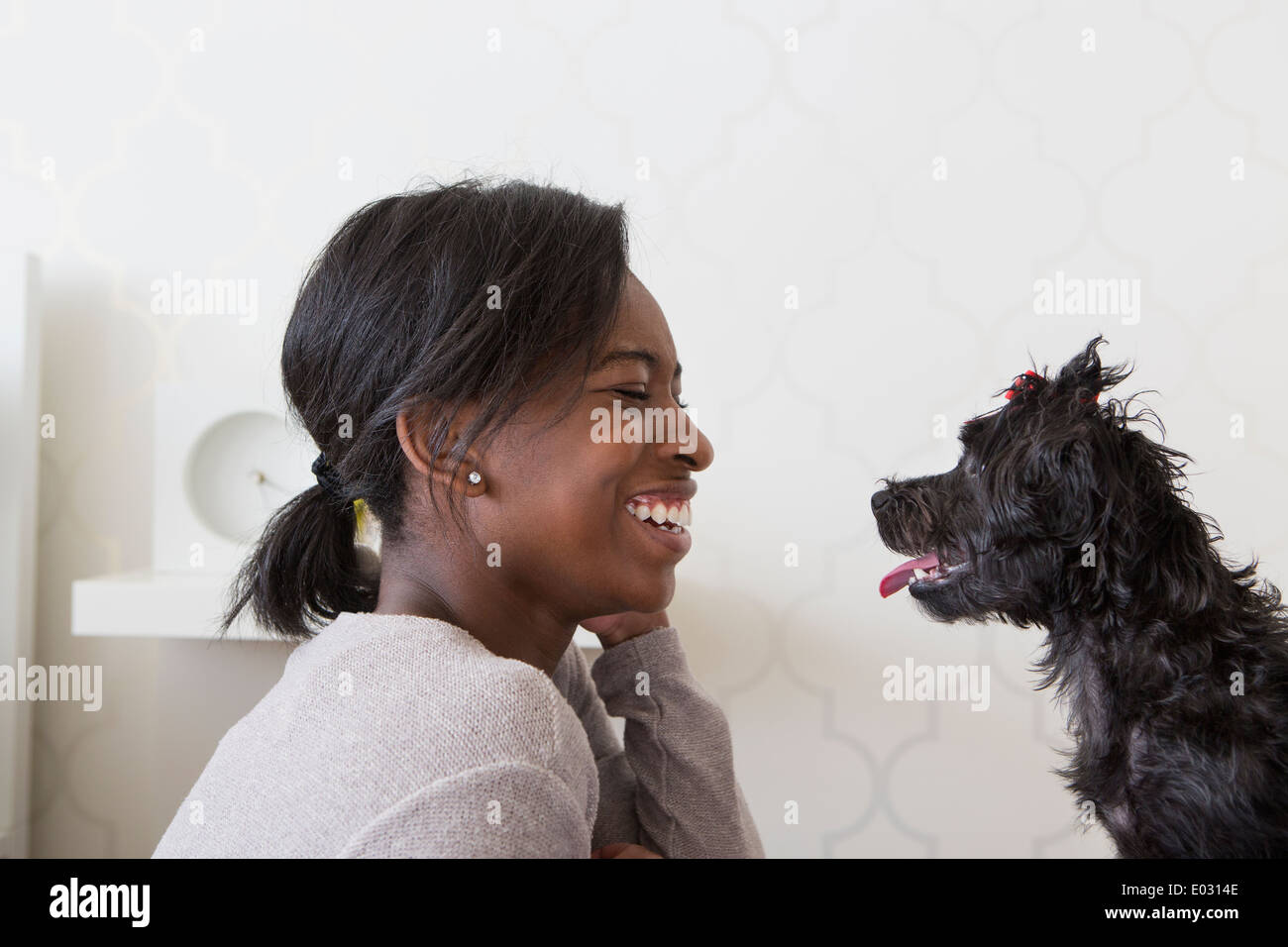 A young girl playing with her small black pet dog. Stock Photo