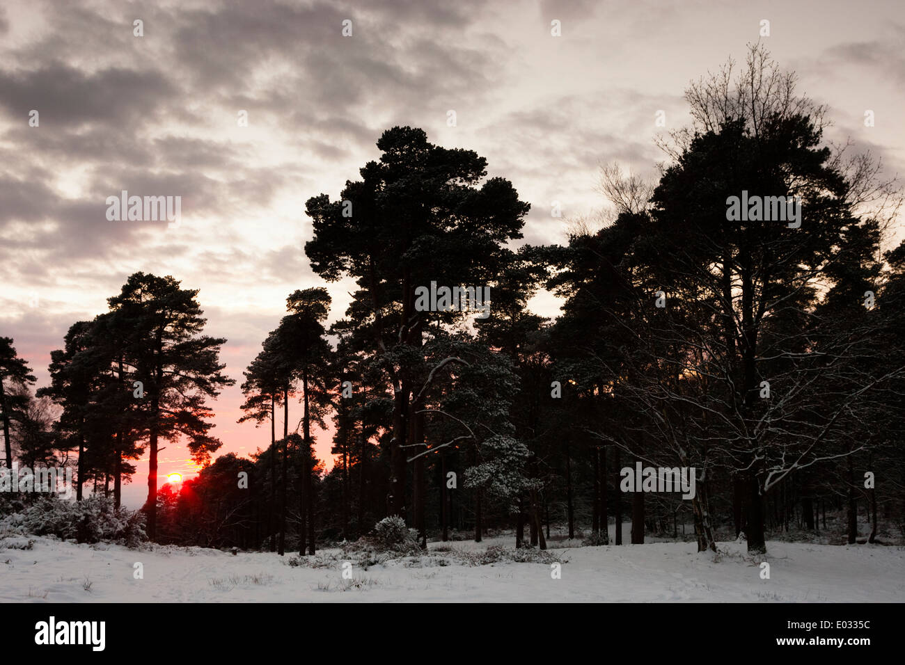 SURREY, UK Sun sets over snowy landscape, Leith Hill. Stock Photo