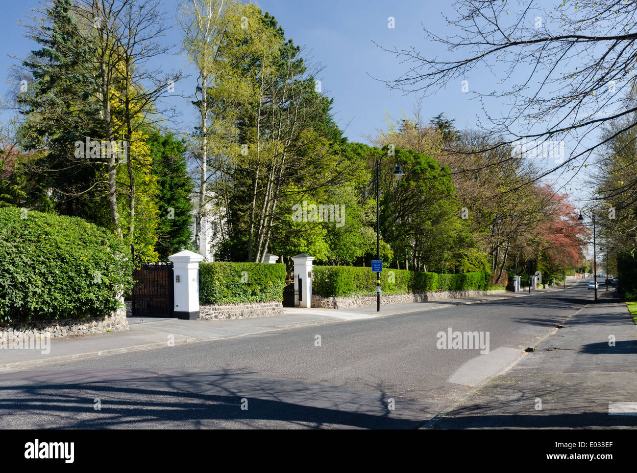 Treelined Wellington Road in the smart Birmingham suburb of Edgbaston