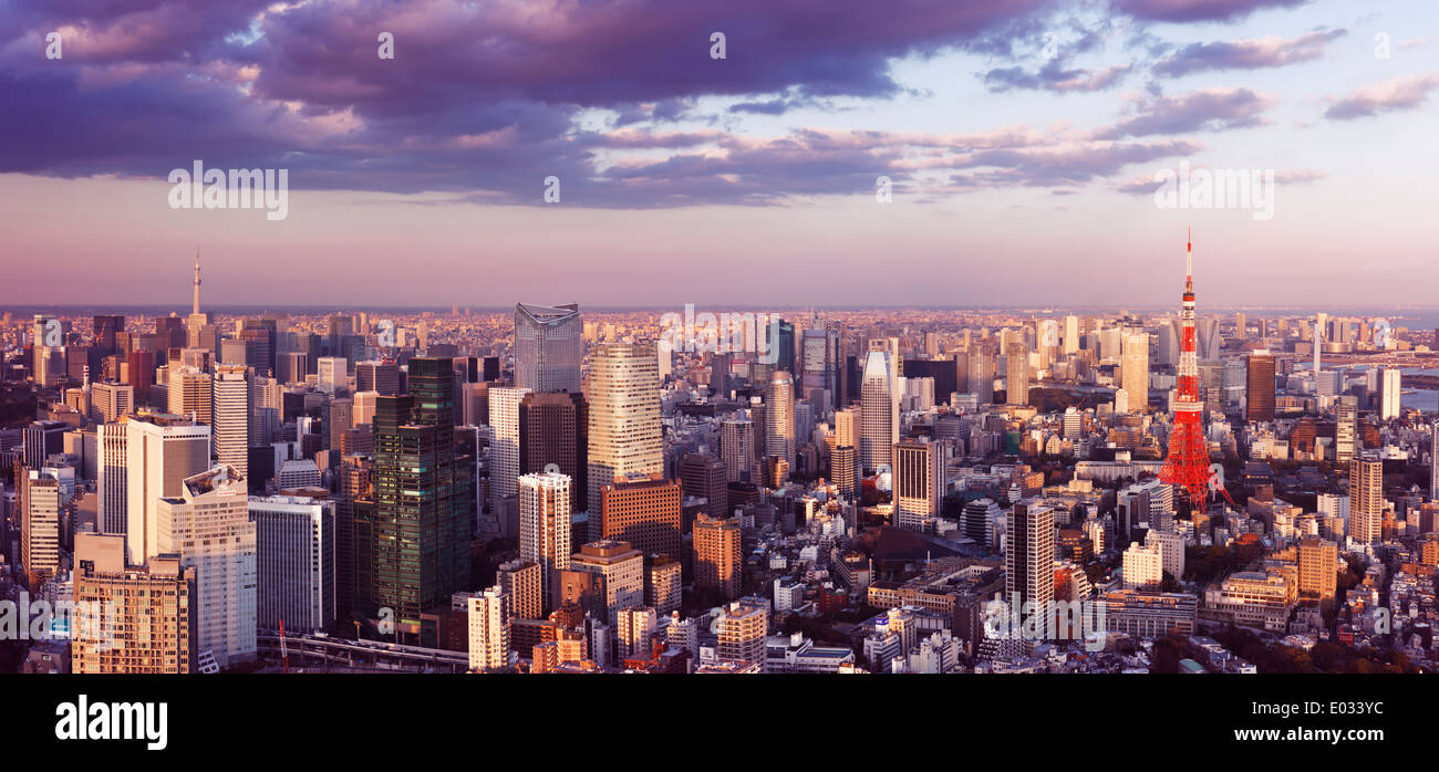 License available at MaximImages.com - Tokyo Tower in city landscape and Skytree tower in the background, aerial panoramic scenery. Azabudai, Minato, Stock Photo