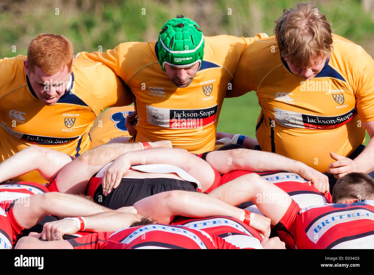 Rugby Front Row Scrum Stock Photo