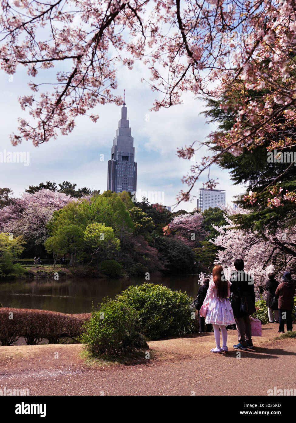 License available at MaximImages.com - People at Shinjuku Gyoen National Garden during cherry blossom with NTT Docomo Yoyogi Building in the backgroun Stock Photo