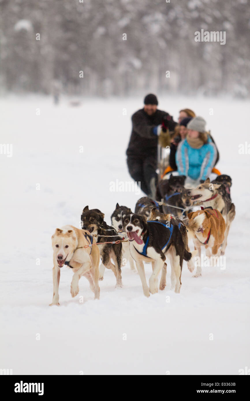 JOKKMOKK, SWEDEN Dog sledders cross Lake Talvatis during the annual Jokkmokk Winter Market. Stock Photo