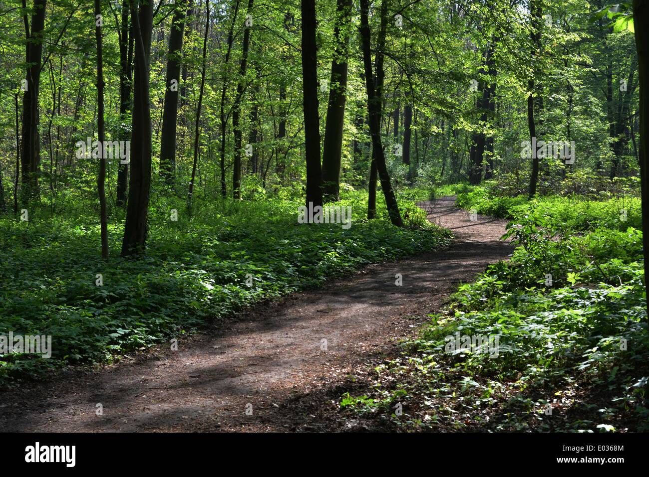 Eilenriede park hires stock photography and images Alamy