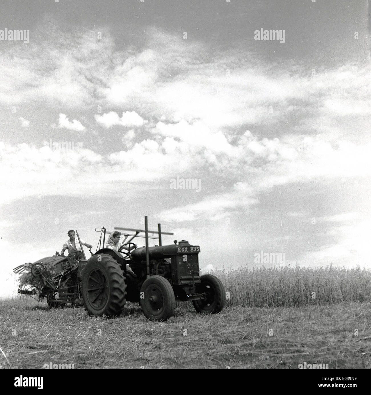 1950s historical picture of farmers on a tractor of the era in a corn field. Stock Photo