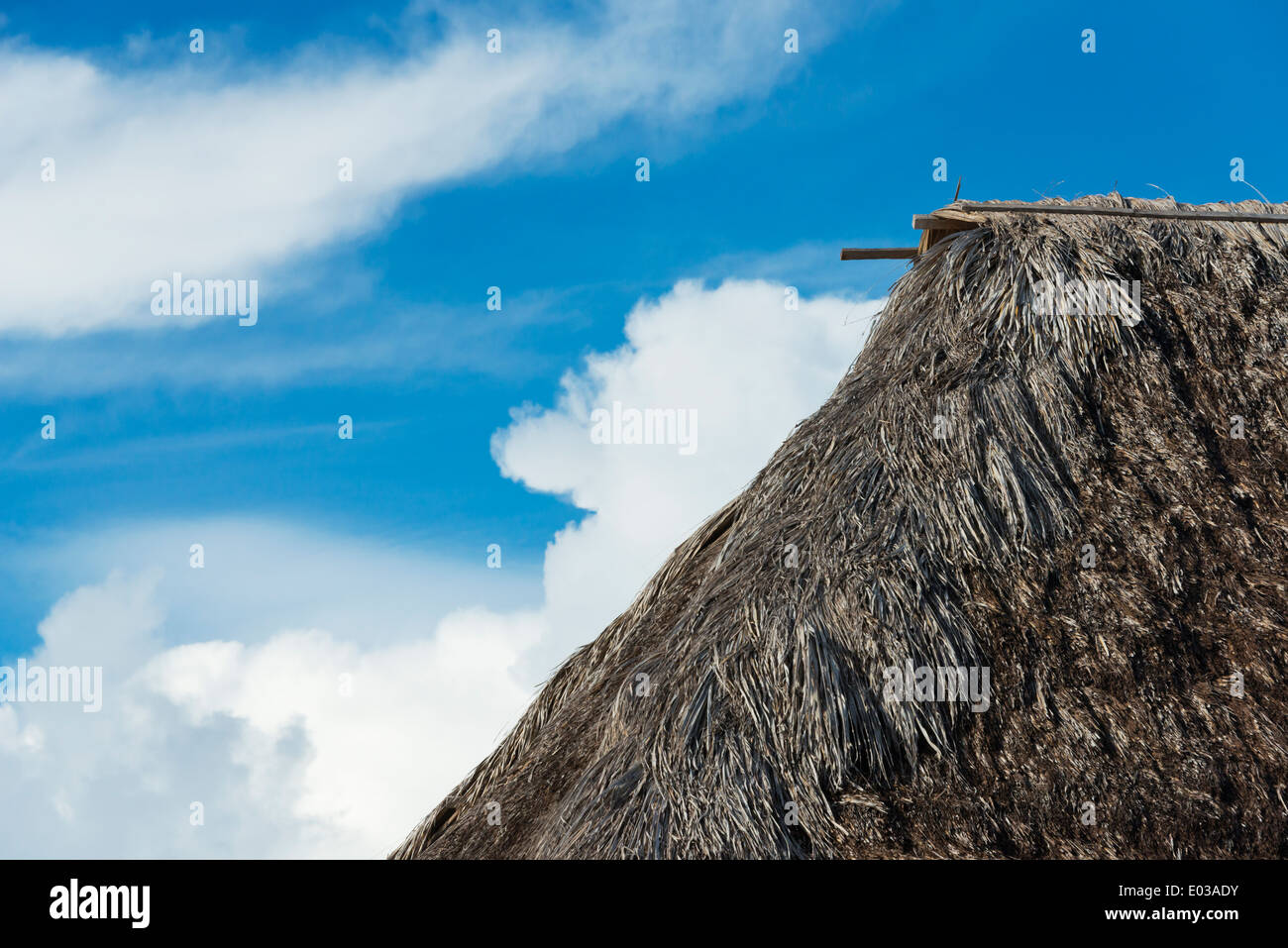Local house with thatched roof, North Rupununi, southern Guyana Stock Photo