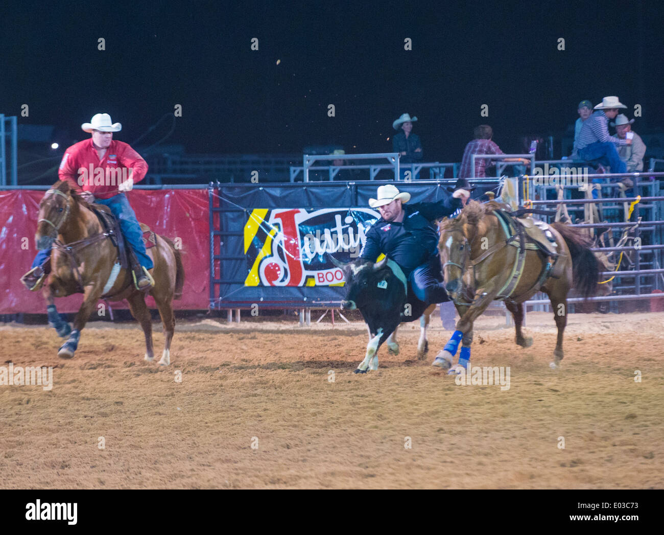Cowboys Participating in a Steer wrestling Competition at the Clark ...