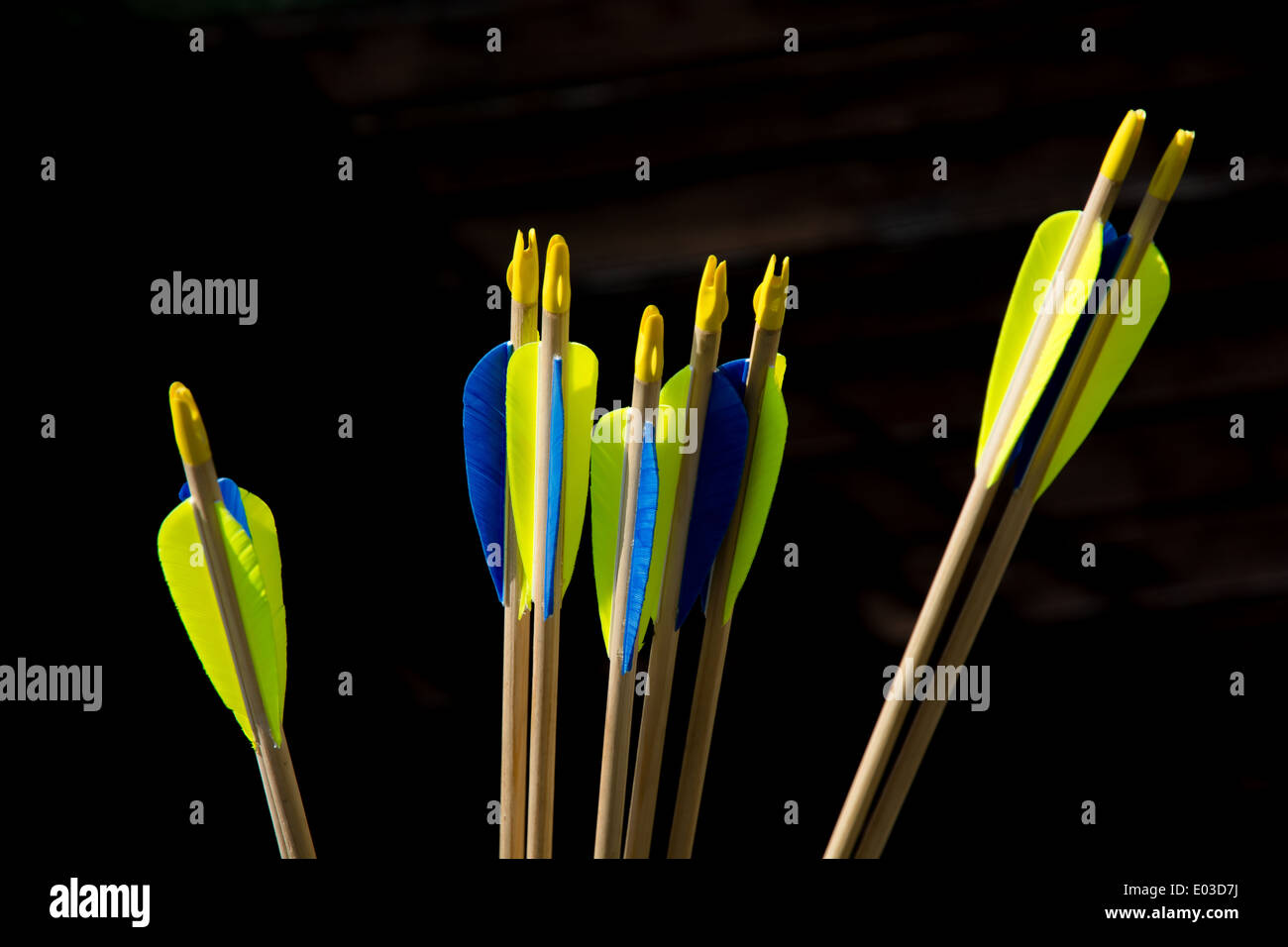 Bunch Of Archery Arrows In A Quiver Stock Photo - Alamy