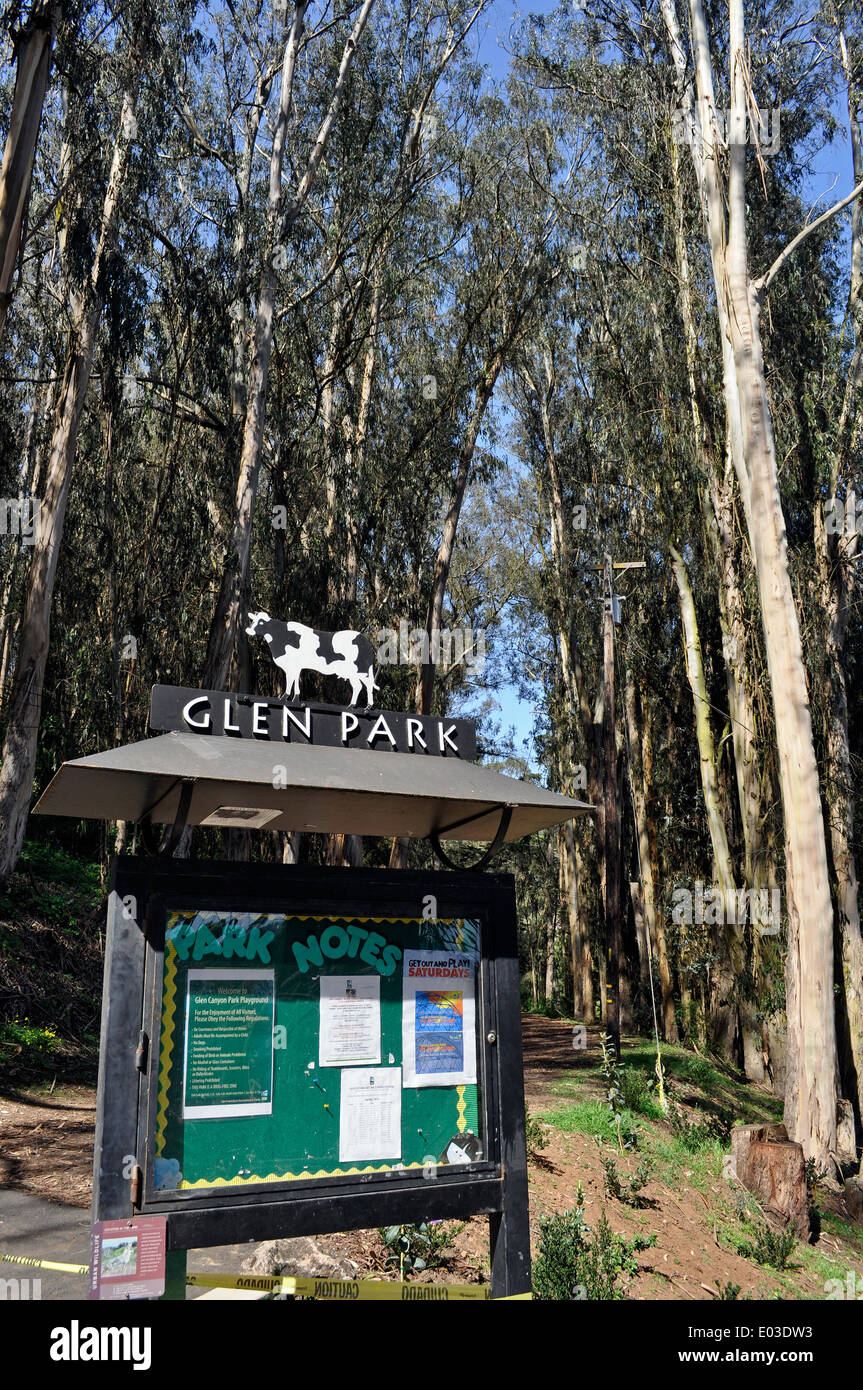 Are Dogs Allowed In Glen Canyon Park