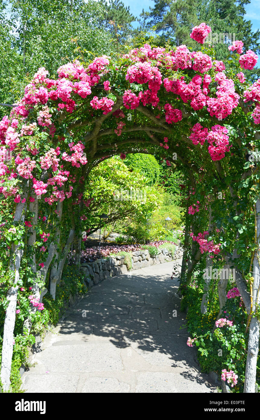 Beautiful pink rose covered archway over garden path Stock Photo