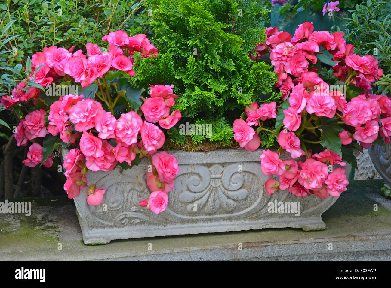 Flower planter hires stock photography and images Alamy